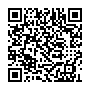 而如今上元大陆这些修士却没有经历过天地浩劫二维码生成