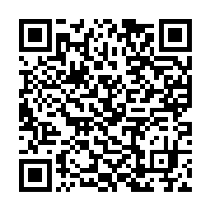而如今整个龙耀会几乎都是在一种人心惶惶的情况下二维码生成