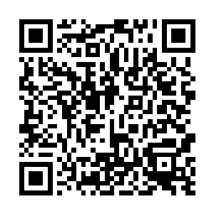 而如今楚旬得到了这冰霜巨人体内强大精血力量的灌注二维码生成