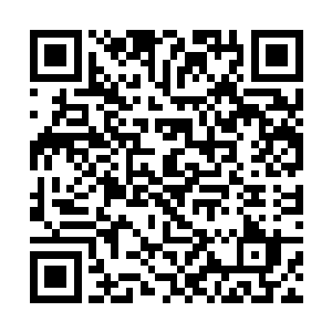 而如今的本尊躯体因为同样的修炼出了现在这一脉络二维码生成