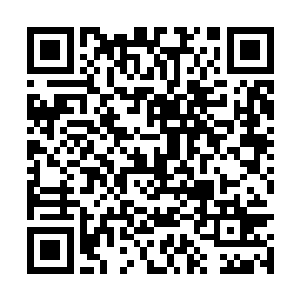 而如今秦方更是以龙息之术强行分别了两人的区别二维码生成