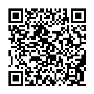 而如同左膀右臂一般的两条三头犬也被对方收走二维码生成