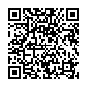 而如果让这白骨天使杀光了那上万的神级黑暗精灵二维码生成