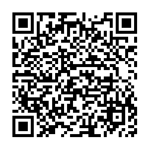 而妖若仙带着他御空飞行却只花了一晚上便飞跃了无边无际的大海二维码生成