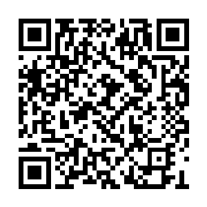 而始无也是缓缓的将自己的所有精魂融入了大阵二维码生成