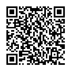 而孔雀翎等物品对付地级后期以上的人作用已经不太明显了二维码生成