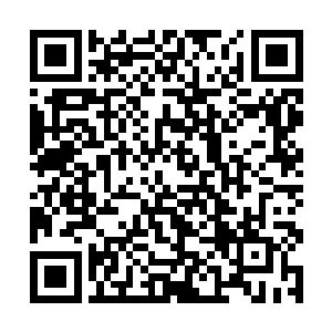 而孙子轩只用了不到一分钟的时间就让这支沙盗团灭二维码生成