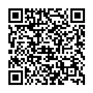 而孟东则是欺上前学着罗楼一样一把握住另一人的面部二维码生成