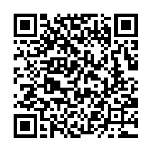 而孟奇的目光却投射在那位身穿鹅黄衣裳的少女脸上二维码生成