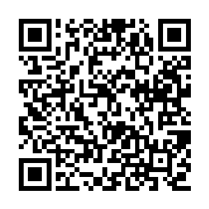 而季家里面应该是最顽固的老人也是死得差不多二维码生成