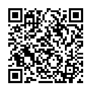 而孩子那明澈清亮的目光和脸上好奇而喜悦的表情二维码生成