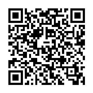 而它们的唯一希望就只有被万药山的继承人放出去二维码生成
