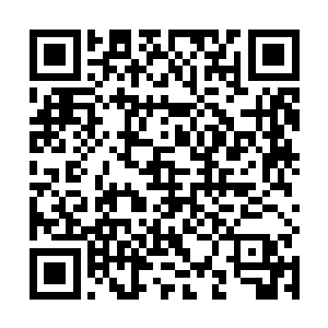 而它们的尾巴则比其他穿山甲更细更长也更柔软和灵活二维码生成