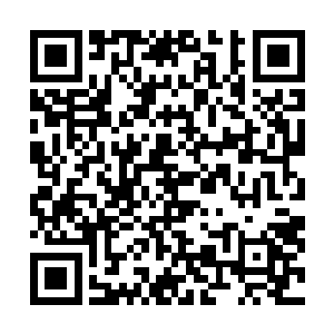 而它们那透明的躯体也开始在蓝色火焰的焚烧下迅速脱水二维码生成