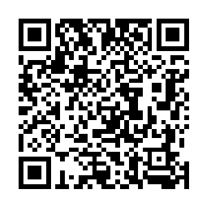 而它那些看似狰狞的骨甲却难说能够挨得住战舰主炮轰击二维码生成