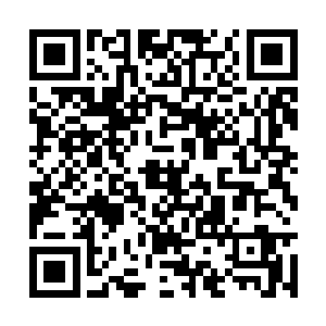 而宅在随身洞府中的家伙们都成了苦力被拎了出来二维码生成