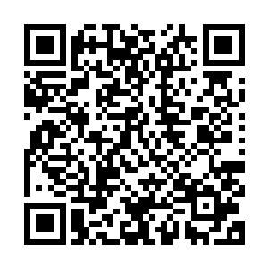 而守在在门外的雪莉原本也在看到林何的动作之后准备冲劲店里二维码生成