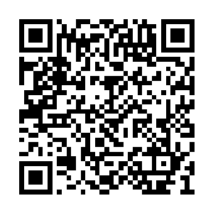 而守护在她身边的猴子和老鼠已经被她给迷倒了二维码生成