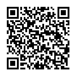 而宋婉仪等人全都给这笑梦彤的发言彻底惊住了二维码生成