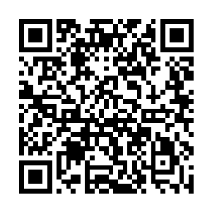 而实力同样更加强大的修士也很是关注这这边的战斗二维码生成