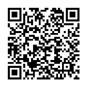 而实际上残酷的现实是――任何形式更换大脑最后步骤二维码生成