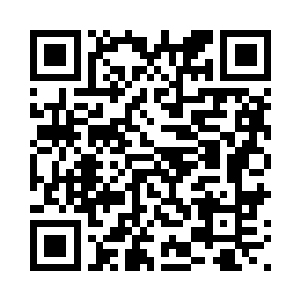 而宠物们这次可没有多余的座位了二维码生成