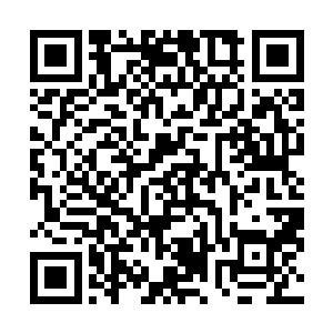 而对于周琳菲这本来就心不甘情不愿嫁女儿的丈母娘来说二维码生成