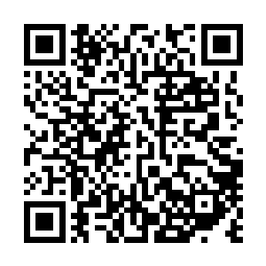 而对于某些可以有着充足的地元水晶供应的豪门与门派来说二维码生成