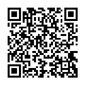 而对于邓铮另眼相看一直非常照顾的武术学院团委书记魏老师二维码生成