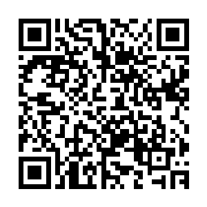 而对方却没有丝毫犹豫……那么她的证道是不是已经很高级了二维码生成