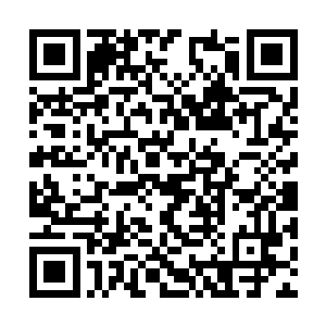 而对面天涯商会那个渡劫高手也是冷冷的看着夏天二维码生成