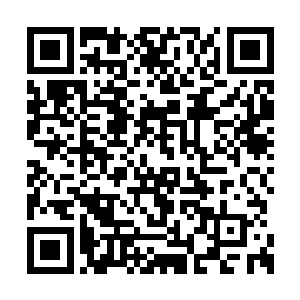 而导致这个哈蒙族的天才意外地成为麻木的亡灵二维码生成