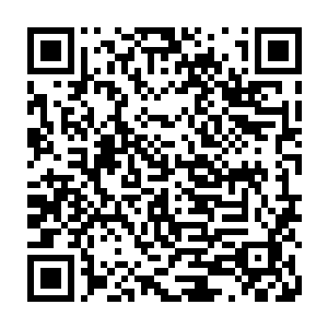 而小宝和小熊得到消息时都乐得从疾驰的马上跳下来滚到一边的草地上打滚二维码生成