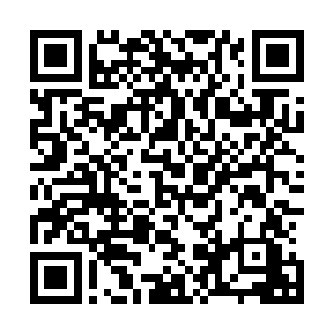 而小宝的父母还有林滔天等人见林尚竟然答应让林少宝跟去二维码生成