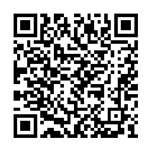 而小猴子最所以会在此关头出现在这家伙的身后二维码生成