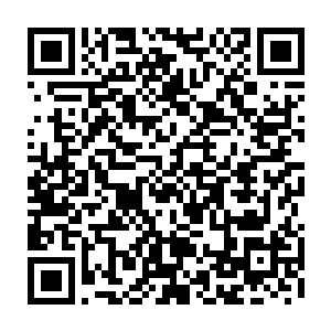 而小胖将真的变成一条只会吃饭睡觉却再也没有任何神奇力量的毛毛虫了二维码生成