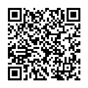 而小荷小藕两姐妹更冒着生命危险在红楼做卧底呢二维码生成