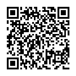 而就在众人都在因为暴食身上的异变而感到震惊的时候二维码生成