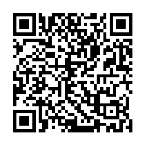 而就在刚才他们看到了那渐渐透明的壁垒变得模糊了起来二维码生成