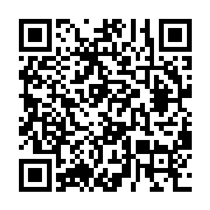 而就在楚旬和安琪儿都被眼前一幕给彻底震惊的时候二维码生成