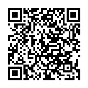 而就在楚旬因为系统所展现出来的能力而感到震惊的时候二维码生成
