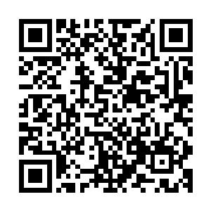 而就在楚旬等人和异形军团牵制和压制了整个虫族军团的时候二维码生成