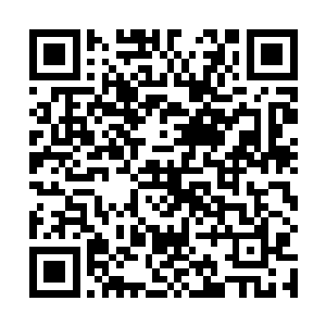 而就在熊孩子等人都因为眼前这个忽然出现的寒冰巨人二维码生成