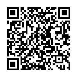 而就在萧易还在被这一阵的树林的动弄得一愣神之间二维码生成