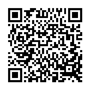 而就在贪婪因为系统展现出来的纯粹光明力量而感到震惊的时候二维码生成