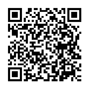 而就连他老布鲁克也很快将会从布鲁克家主这个位置上滚下来二维码生成