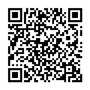 而尸球上的尸体居然都开始迅速的腐烂到了流汁的诡异地步二维码生成