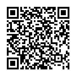 而尼克也不会愚钝到一切摊在眼前都还拿不准的地步二维码生成