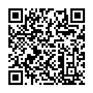 而山匪一方虽然感觉丢了飞天驼盗的宝物有些可惜二维码生成