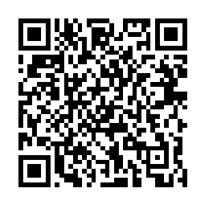 而山蒙和几个近卫队的巨人已经被数不清的兽装机甲扑倒二维码生成